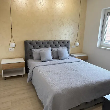 Cvetkovic 소코 반자