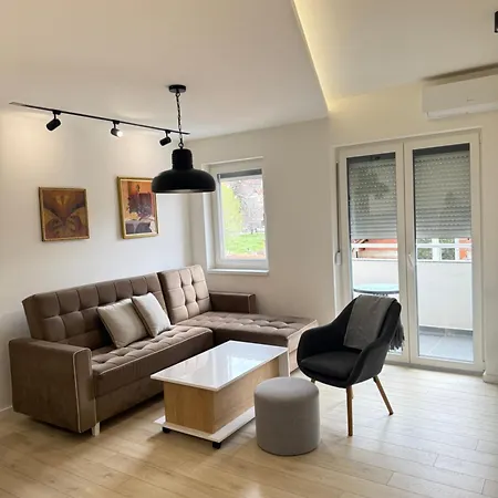 Cvetkovic Apartment Soko Banja