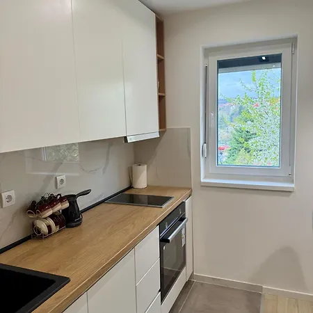 Cvetkovic * 소코 반자