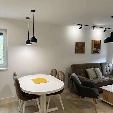 Cvetkovic * 소코 반자