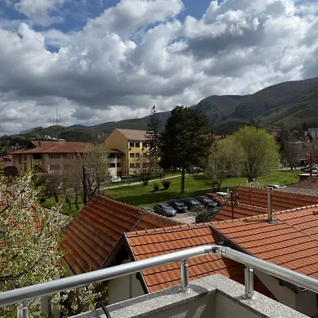 Cvetkovic Apartment Soko Banja