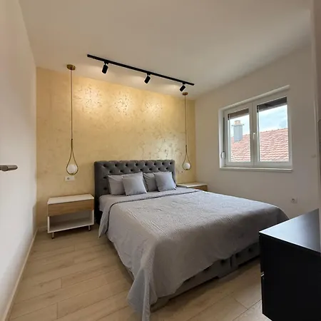 Cvetkovic * 소코 반자