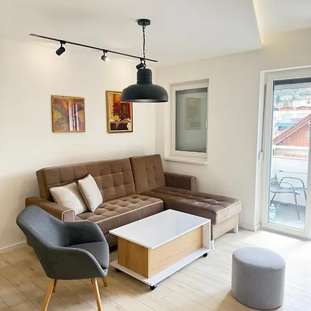 Cvetkovic Apartment Soko Banja