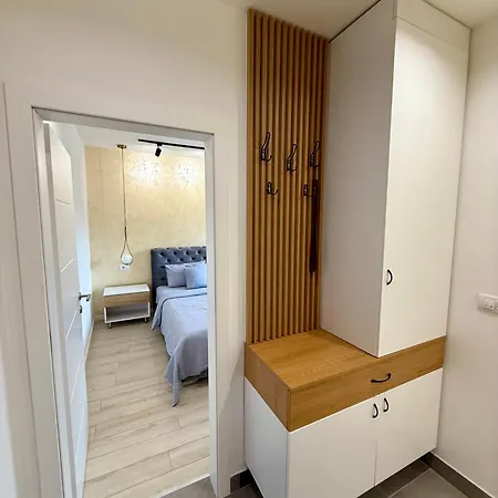 Cvetkovic * 소코 반자